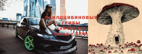 прущая мука Нефтегорск