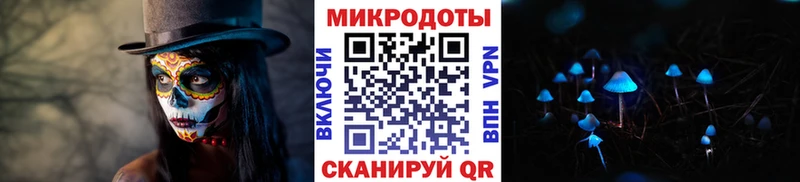 Псилоцибиновые грибы GOLDEN TEACHER  магазин    Чегем 